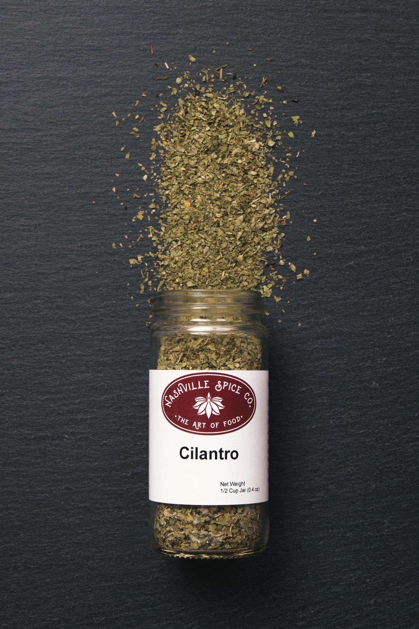 Cilantro