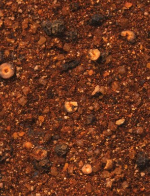 Brown County BBQ Rub