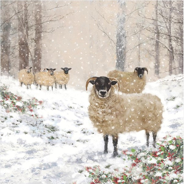 Highland Sheep Napkin
