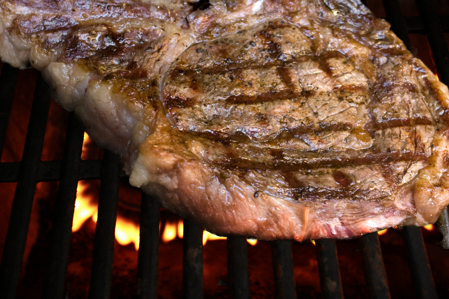Grilled Ribeye Steak