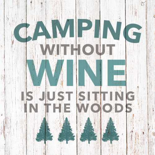 Camping without Wine Napkins - NashvilleSpiceCompany